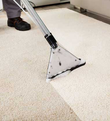 Carpet-Cleaning-Professionals